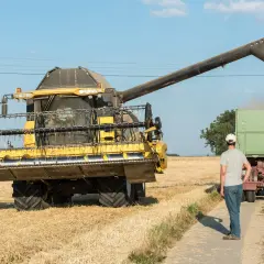 Mähdrescher entlädt Getreide in Anhänger. Ein Mann steht daneben. Dies ist ein Beispiel für Landwirtschaft im Nebenerwerb, bei dem die steuerlichen Aspekte eine Rolle spielen.