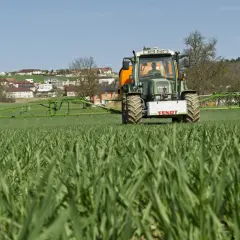 Ein Fendt-Traktor fährt über ein Feld mit jungem Getreide. Die Sprühbalken sind ausgefahren. Bald ist die Zeit, wann wird weizen geerntet.