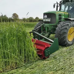 Ein grüner Traktor mäht ein Feld mit hohem Getreide. Die Frage "wann wird Roggen geerntet?" wird hier beantwortet: jetzt, im Sommer.