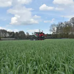 Ein Sprühgerät fährt durch ein Feld mit jungem Roggen. Die Aussaat ist erfolgreich und das Korn wächst kräftig.