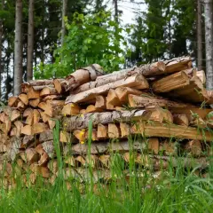 Ein großer Stapel gespaltenes Brennholz liegt im Wald. Die Preise für Brennholz sind aktuell hoch.