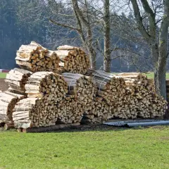 Stapel von gespaltenem Weichholz, bereit für den Verkauf. Der Preis pro Ster Weichholz ist hier günstig.