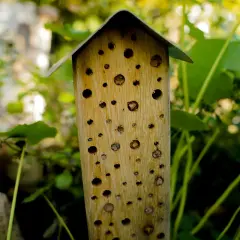 Ein Bienenhotel selber bauen ist eine tolle Idee! Dieses hölzerne Insektenhotel mit seinem spitzen Dach bietet vielen nützlichen Insekten ein Zuhause.