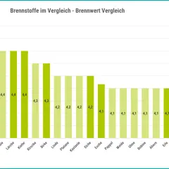 Balkendiagramm zeigt Brennwerte verschiedener Hölzer. Die Esche hat einen Brennwert von 4,1 kWh/kg.