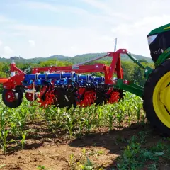 Moderner Grubber für die Landwirtschaft im Einsatz, der den Boden zwischen jungen Maispflanzen lockert.
