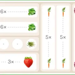 Schema für Fruchtfolge nach Zwiebeln: Salat, Karotten, Erdbeeren, Knoblauch und Ringelblumen.
