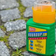 Grüne Flasche mit "Roundup Unkrautfrei" auf Kopfsteinpflaster. Die Diskussion um Roundup verboten Strafen wird durch solche Produkte aktuell gehalten.