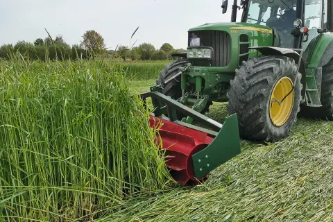 Ein grüner Traktor mäht ein Feld mit hohem Getreide. Die Frage "wann wird Roggen geerntet?" wird hier beantwortet: jetzt, im Sommer.