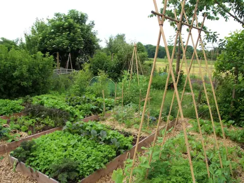 Bio-Garten anlegen - So gelingt dein ökologischer Garten
