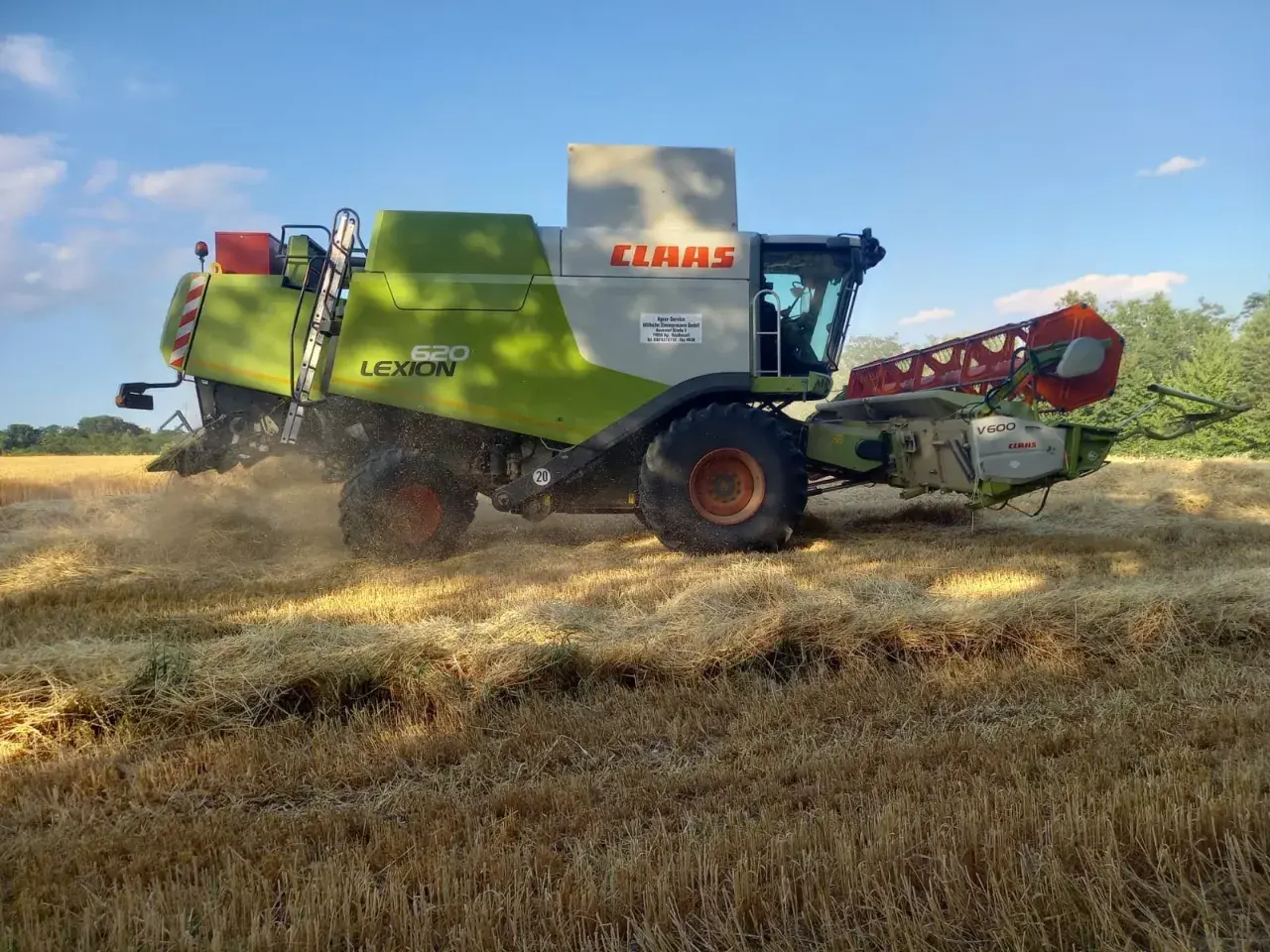 Mähdrescher erntet goldgelbes Feld. Die Frage "wann wird Wintergerste geerntet?" wird hier beantwortet: im Sommer, wenn das Korn reif ist.