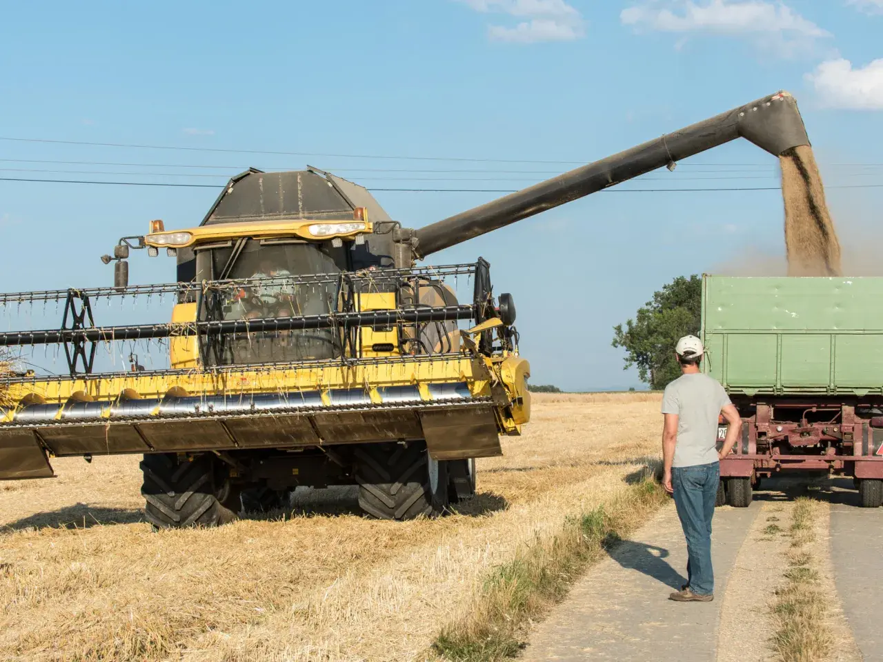 Mähdrescher entlädt Getreide in Anhänger. Ein Mann steht daneben. Dies ist ein Beispiel für Landwirtschaft im Nebenerwerb, bei dem die steuerlichen Aspekte eine Rolle spielen.
