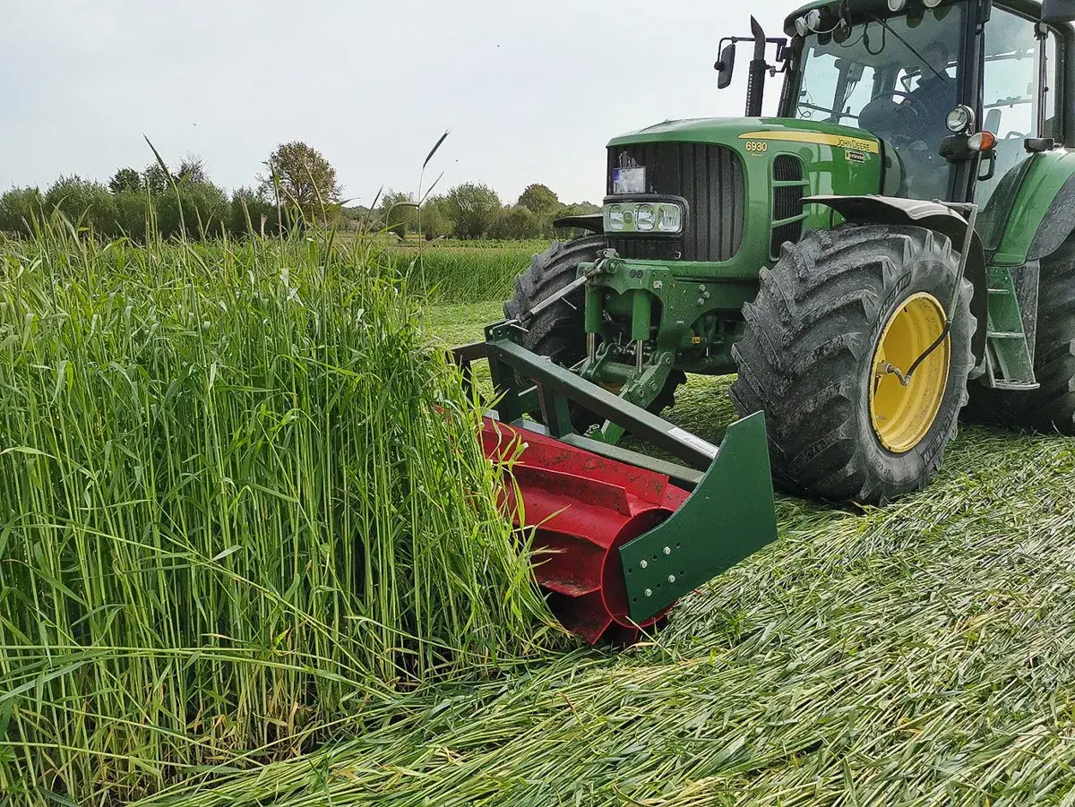 Ein grüner Traktor mäht ein Feld mit hohem Getreide. Die Frage "wann wird Roggen geerntet?" wird hier beantwortet: jetzt, im Sommer.