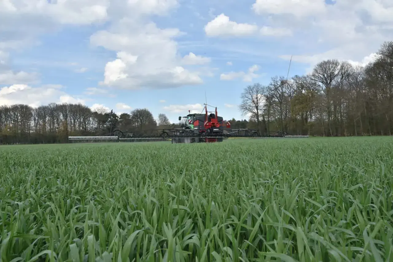 Ein Sprühgerät fährt durch ein Feld mit jungem Roggen. Die Aussaat ist erfolgreich und das Korn wächst kräftig.