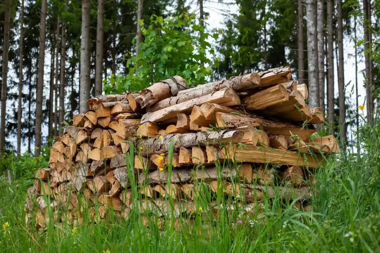 Ein großer Stapel gespaltenes Brennholz liegt im Wald. Die Preise für Brennholz sind aktuell hoch.