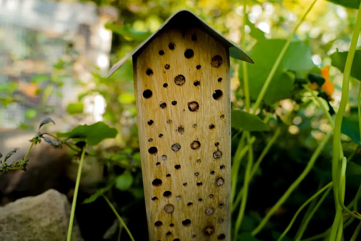 Ein Bienenhotel selber bauen ist eine tolle Idee! Dieses hölzerne Insektenhotel mit seinem spitzen Dach bietet vielen nützlichen Insekten ein Zuhause.