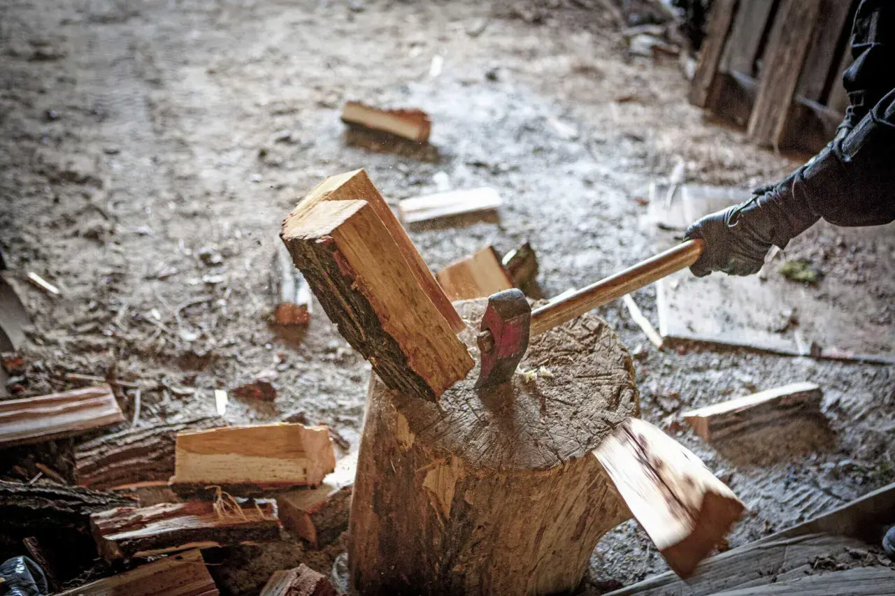 Axt spaltet Holzscheit. Informiere dich über aktuelle brennholz preise bayern, um dein Zuhause warm zu halten.