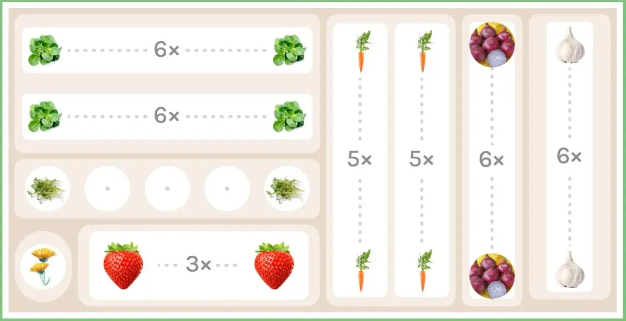 Schema für Fruchtfolge nach Zwiebeln: Salat, Karotten, Erdbeeren, Knoblauch und Ringelblumen.