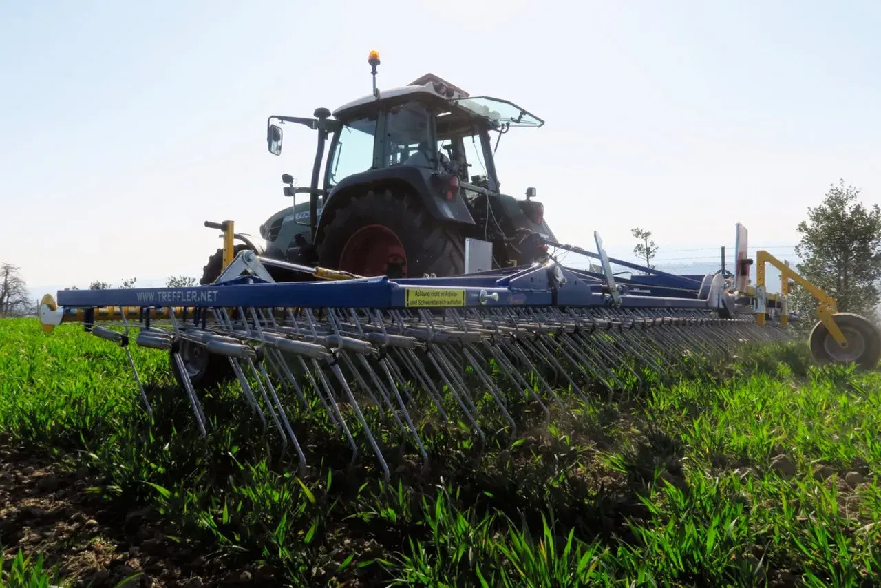 Traktor mit einer Egge im Einsatz, um das Getreide zu hacken und Unkraut zu entfernen.
