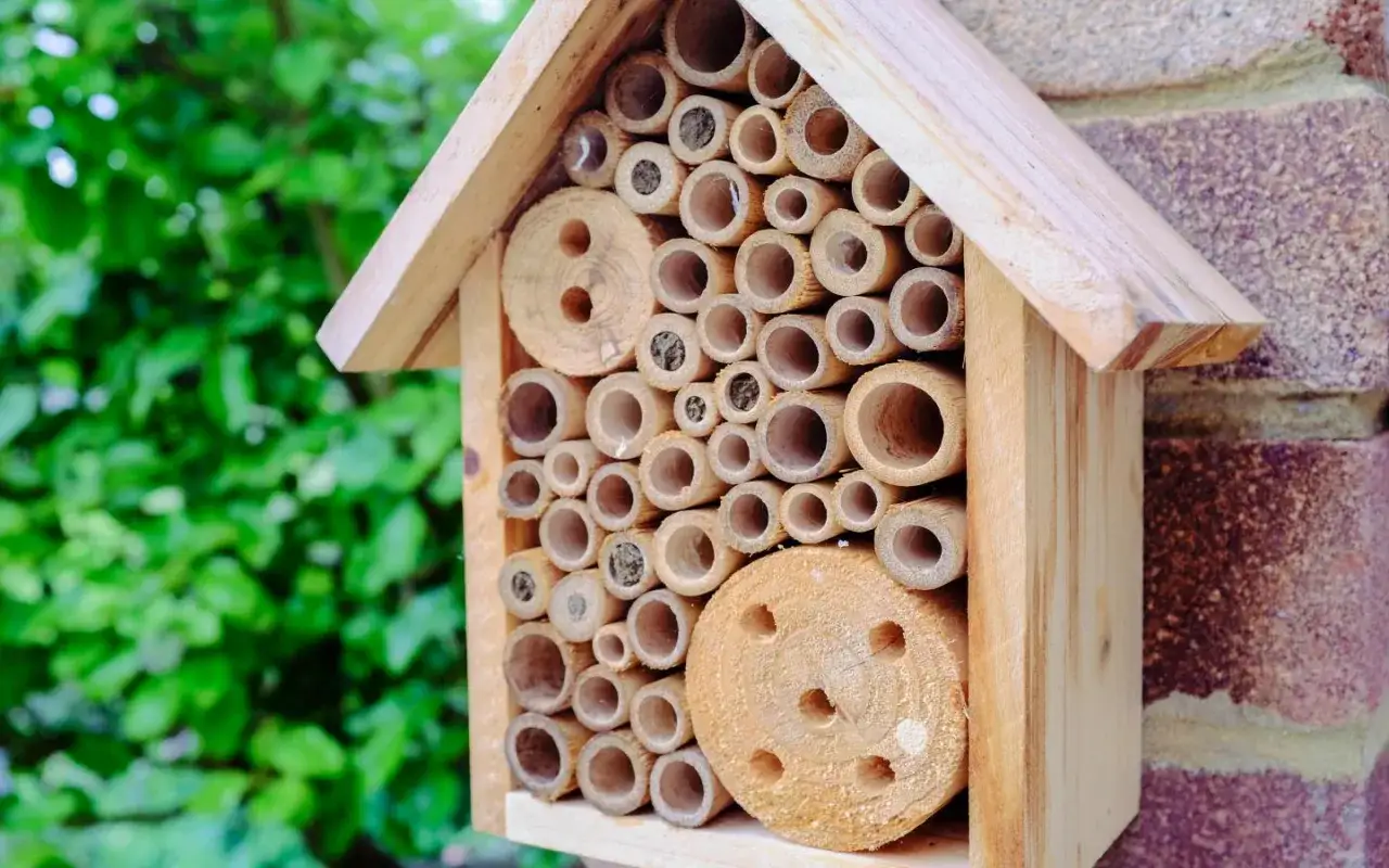 Ein Bienenhotel selber bauen ist eine tolle Idee! Dieses hier ist gefüllt mit vielen Bambusröhren und Holzscheiben, bereit für seine kleinen Bewohner.