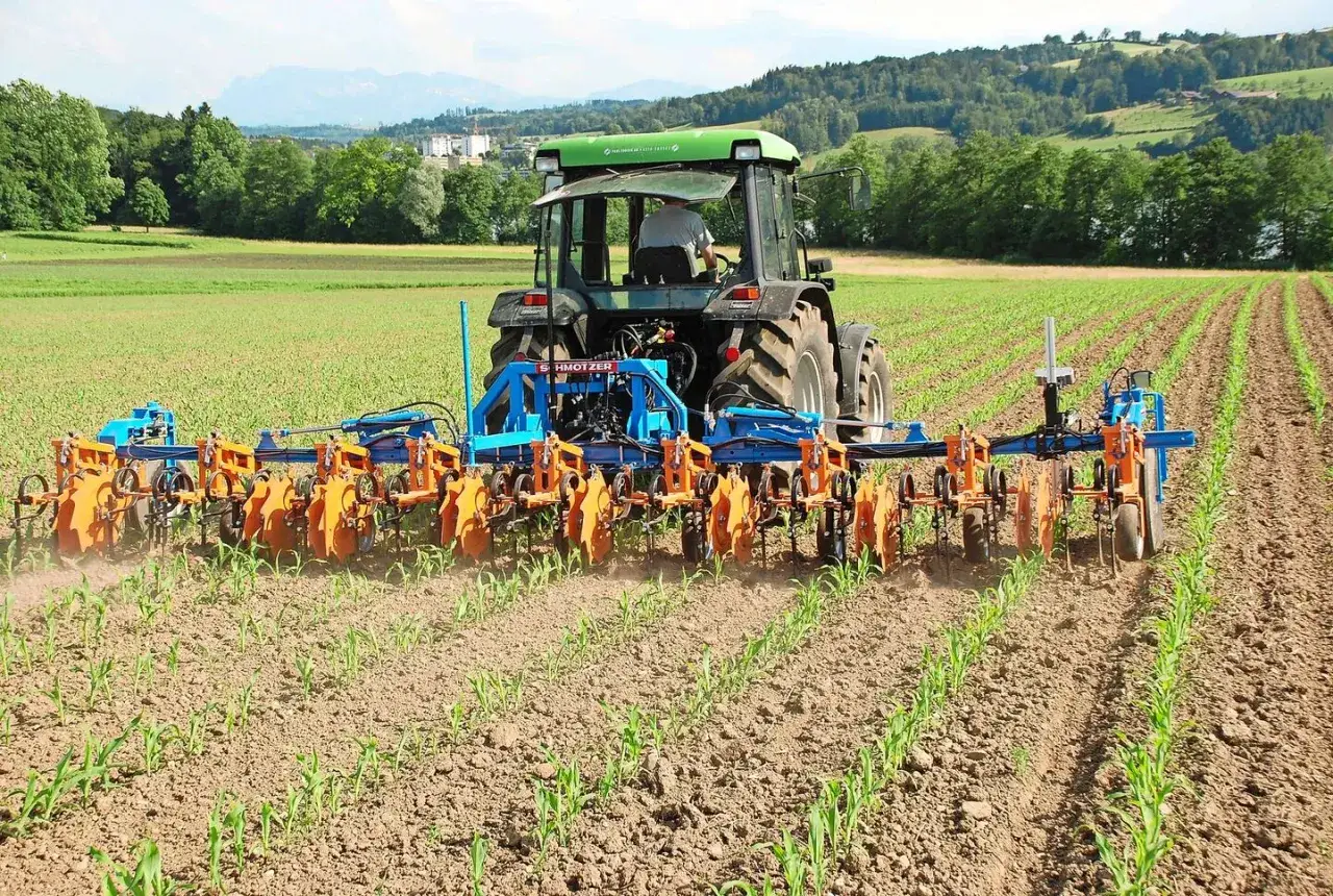 Traktor mit Hackger&auml;t bearbeitet Maisfeld. Moderne Landwirtschaft durch pr&auml;zises Hacken.