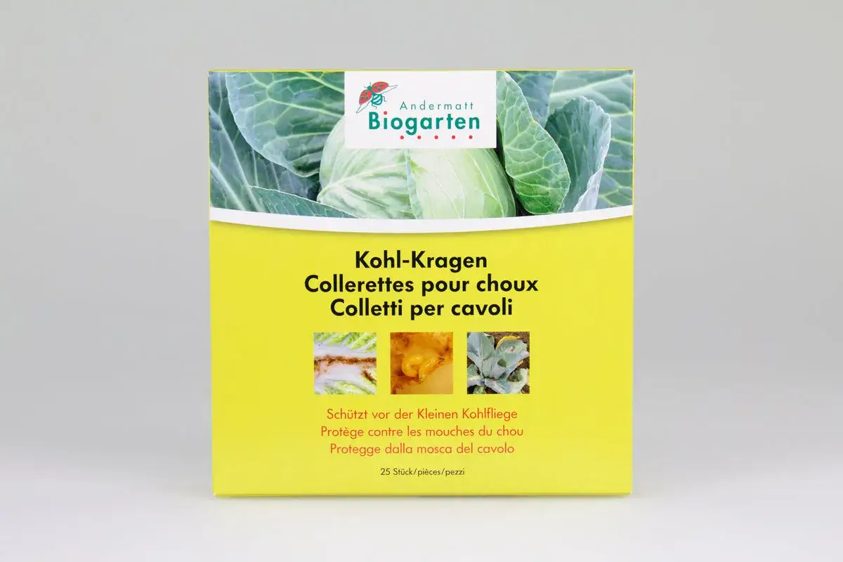 Schutz vor der kleinen Kohlfliege: Kohl-Kragen-Collerettes für gesunden Kohl. Die Packung enthält 25 Stück.