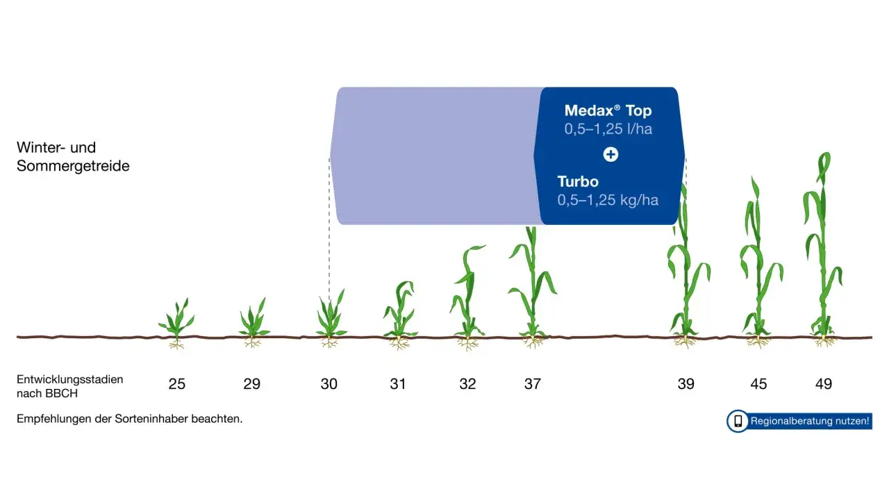 Wachstumsregler für Weizen: Medax® Top und Turbo zur optimalen Entwicklung von Winter- und Sommergetreide in verschiedenen BBCH-Stadien.