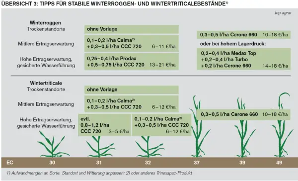 Übersicht zu Wachstumsregler Weizen: Empfehlungen für Winterroggen und Wintertriticale je nach Ertragserwartung und Wasserführung.